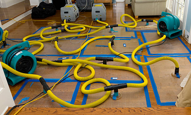 Professional Flood Damage Restoration technician working in Hampshire, TN